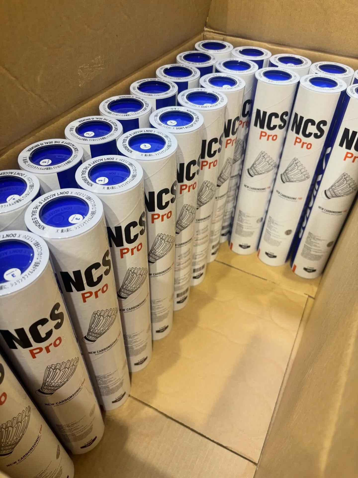 春のような気温で暖かいですね🌸🌷🐝