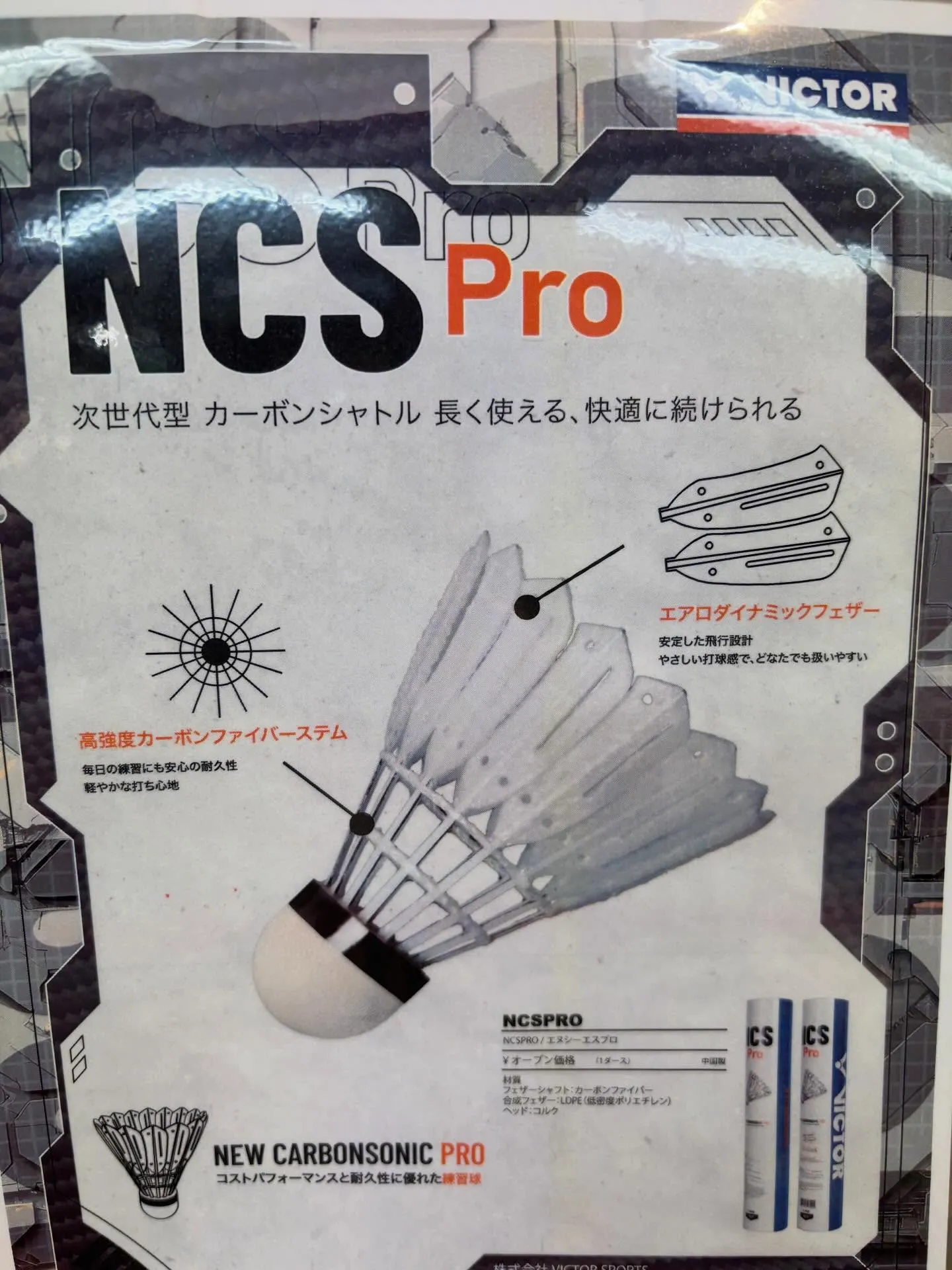 春のような気温で暖かいですね🌸🌷🐝