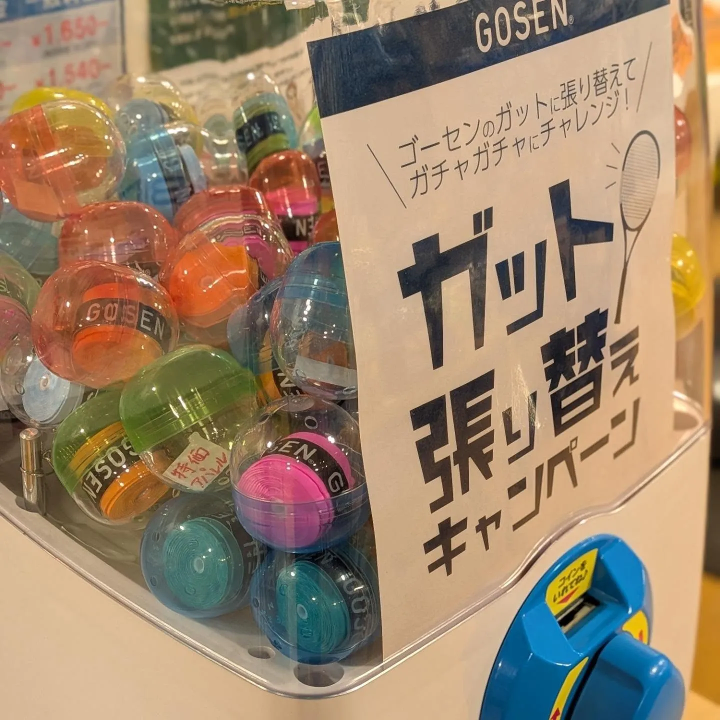 GOSENガット張替えキャンペーン💪