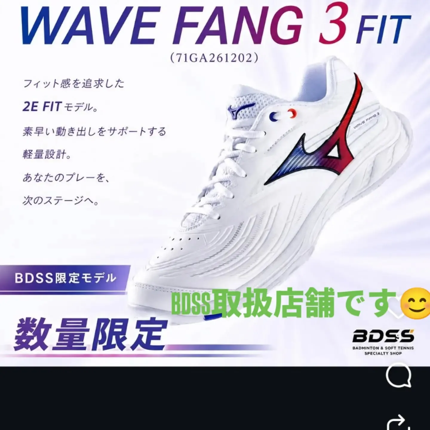 BDSS限定モデル