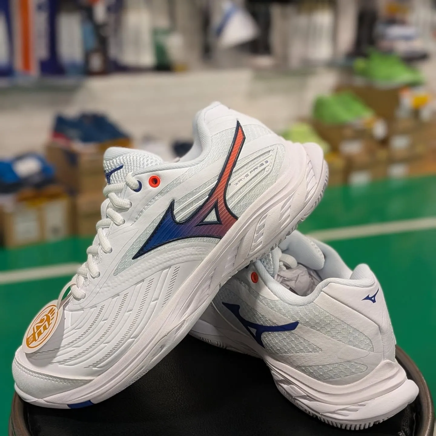 BDSS限定モデル