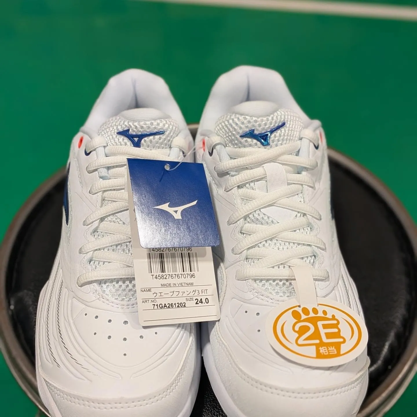 BDSS限定モデル