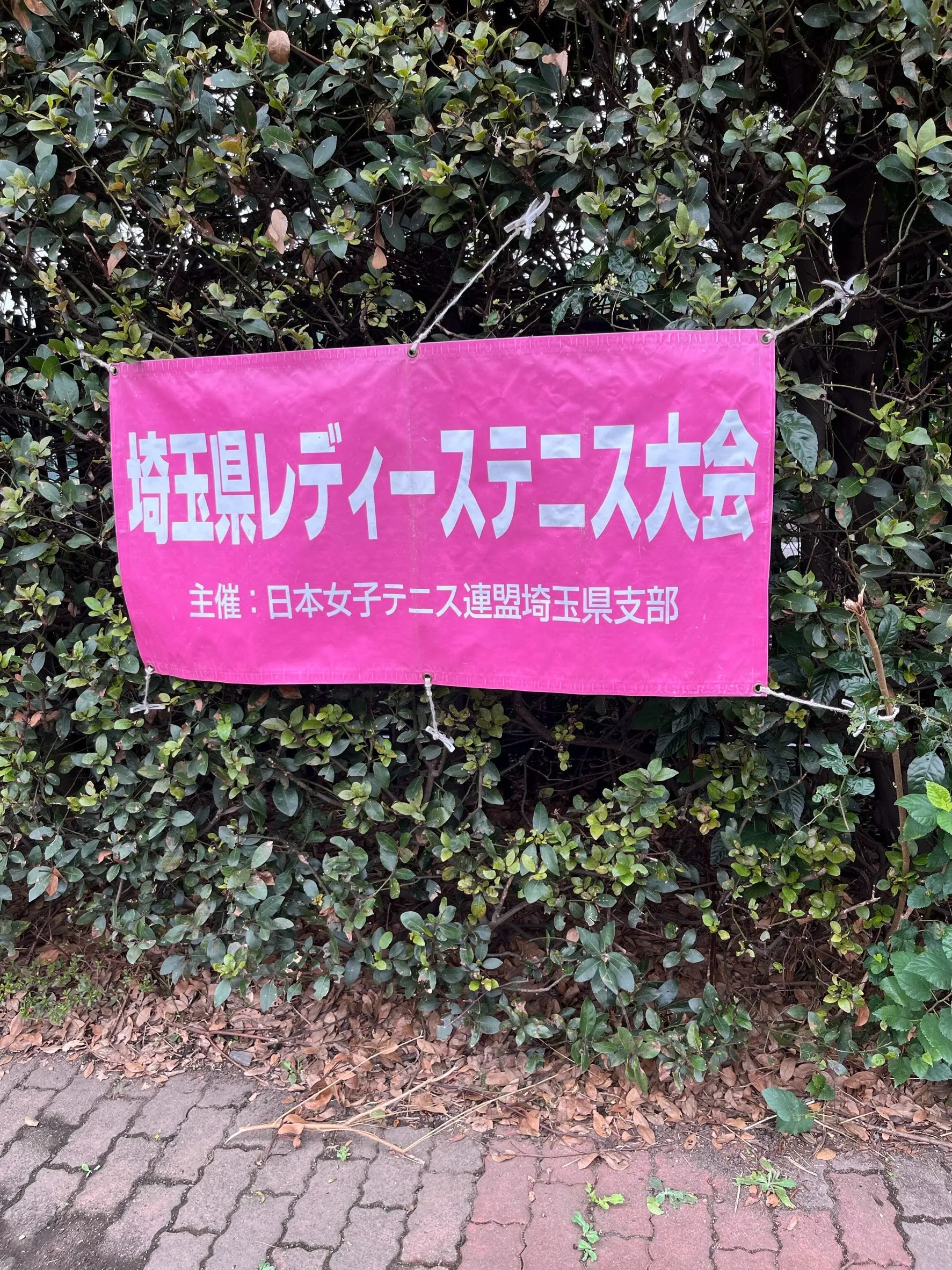 本日は埼玉県レディーステニス大会です🎾